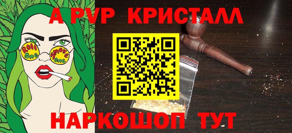 Alpha PVP СК КРИС Курчалой