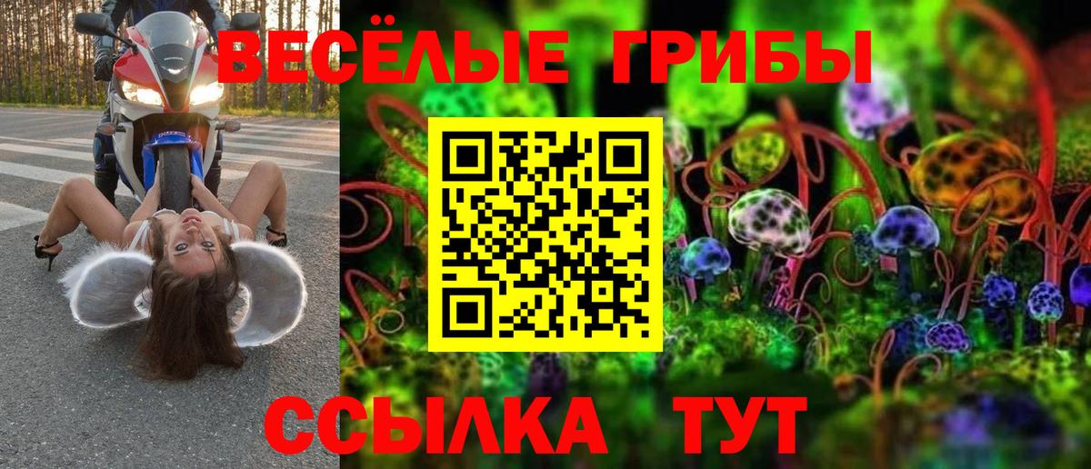 Псилоцибиновые грибы Psilocybine cubensis  Вход с VPN  закладка  Курчалой 